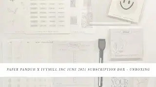 Paper Panduh x IvyMill.Inc June 2021 Sub Box Unboxing