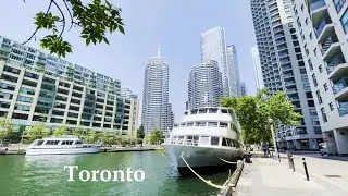 Downtown TORONTO Waterfront Scenery | Travel vlog Canada 4K