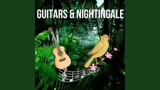 Guitars & Nightingale