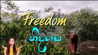 Amazing Forest Temple |සුන්දර නොයිඳුල් වන මැද පිහිටි ආර්ණ්&zwj;යසේනාසනය | 🌎🌳🌱 #forest #buddisttemple
