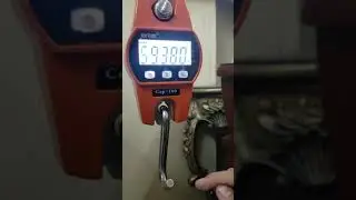 Calibracion de Balanza colgante 100kg