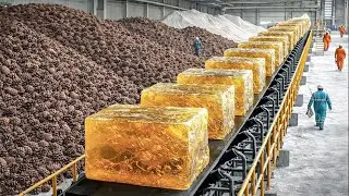 Blick ins Innere einer riesigen Kiefernholzfabrik &ndash; Harz, Kerne & Ernte