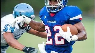 2015 RB Bryce Love 2013 season highlight remix