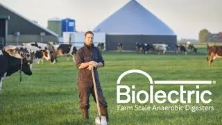 Biolectric 3 day insta