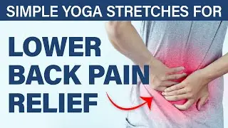 Yoga for Lower Back Pain Relief | Asheesh Pal | Sri Sri School of Yoga