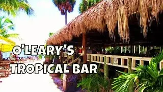 O'Leary's Sarasota Tiki Bar: A Local Favorite & Tropical Oasis 🌺🌴