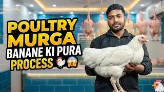 POULTRY MURGA BANANE KI PURA PROCESS 🐔😱 RAFIKUL VLOGS RF ❤️ PLEASE SUBSCRIBE MY CHANNEL 🙏