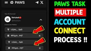 Paws Multiple Accounts Wallet Connect Process | Paws Phantom Wallet Connect Problem | Paws Wallet