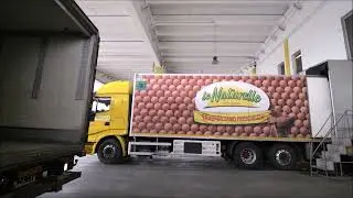 Video post evento Visita al plant logistico di Eurovo: Pianificazione e Sicurezza con EasYard