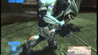 Episode 5 Module 3 - The Solid Gold Elite Dancers