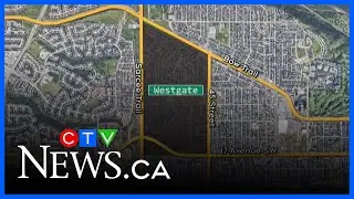 Community Profile: Westgate