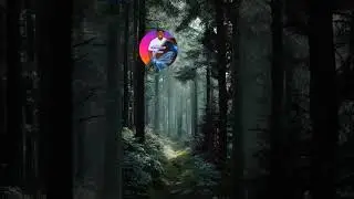 Beautiful scenery