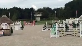 BHS Classe de Virton (Mare 2012 Tr&eacute;sor de Virton x Charming)