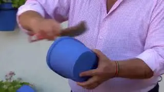 PROCESIÓN -MORENITA  2022-