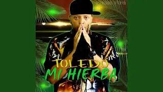 Mi Hierba