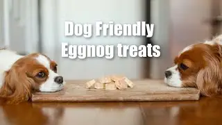 EGGNOG FOR DOGS | Easy dog friendly DIY recipe