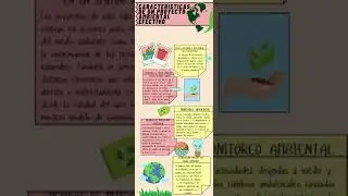 Caracteristicas de un proyecto ambiental efectivo