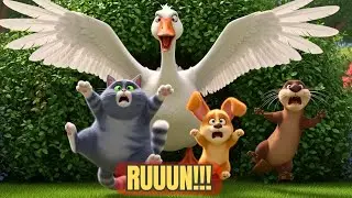 funniest animal chase ever |  Cat, Dog & beaver vs Goose! 