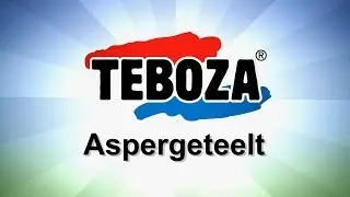 Aspergeteelt Teboza asperges