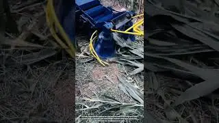 Best Way to Cut Corn Stalks with Innovation Rotary Tools for Fast Harvest Efficiency