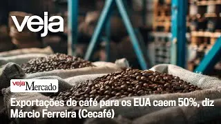 Exporta&ccedil;&otilde;es de caf&eacute; para os EUA caem 50%, diz M&aacute;rcio Ferreira (Cecaf&eacute;)