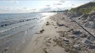 Meerforellenangeln im Sommer | Mit Sandaal zum Erfolg .!? #seatrout