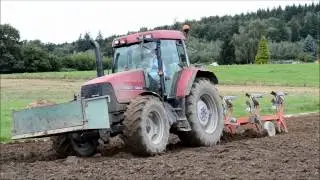 Case MX 135 - Labour
