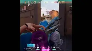 New Yoru bug??