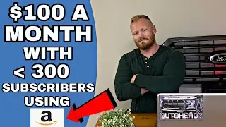 100 DOLLARS A MONTH AS A NEW YOUTUBER