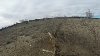 Redneck way of clearing a tree