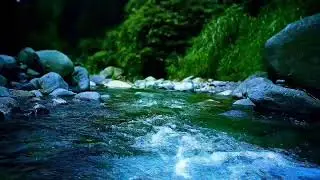 🌊 Calming River Water ASMR Sounds for Sleep Therapy & Anxiety Relief