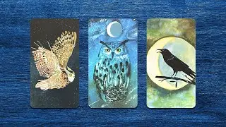 ¿Cómo está sin ti? 🥺❤️‍🔥  💜 Tarot interactivo 💜