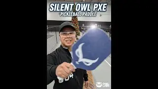 First Pickleball Games with the Owl Pxe Silent Paddle at Dink Richmond Bc Canada