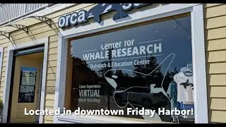 Center for Whale Research