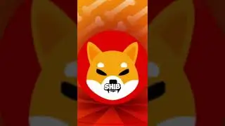 What's Happening With SHIBA INU BURNS? Shiba Inu Coin News!