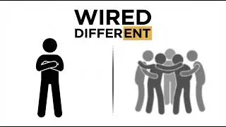 Are You Actually an Introvert? (The Neuroscience Explained)