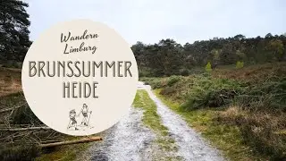 Wanderung durch die Brunssummerheide in Limburg, NL