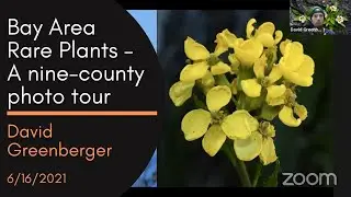 Bay Area Rare Plants &ndash; A nine-county photo tour, a talk by David Greenberger