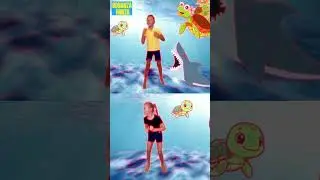 Koebaai Haai! Wie is vinniger? Seeskilpad of Haai | Afrikaanse Avontuur Videos vir Kinders