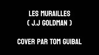 Les murailles  (J.J Goldman)  cover par Tom Guibal