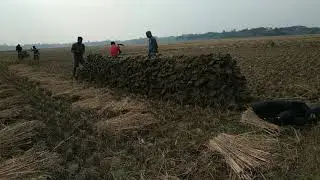 Mud wall #mudwall #earthwall
