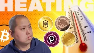 Криптохолдеры: БОЛЬШИЕ ДЕНЬГИ текут в эти проекты