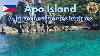 055 - Apo Island, &agrave; la recherche des tortues...