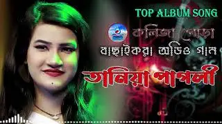 Taniya Pagli💘তানিয়া পাগলী💔New Baul Song Mp3💔Audio Album Mp3💛Baul Mp3💫Nonstop Hit Mp3