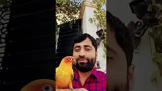 #highlights #viral #ytshorts #comedy  🦜🦜🦜🦜🙌💐🙌✅️