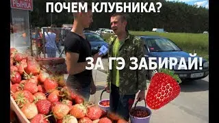 Где и как выращивают клубнику и сколько на ней можно заработать?