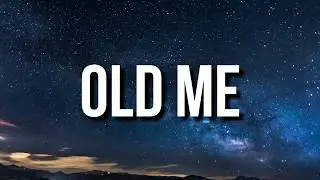 DaniLeigh - Old Me (Lyrics)
