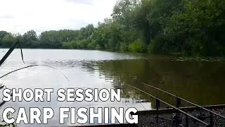 Short Session Carp Fishing #carpfishing #carping #carp
