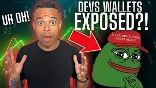 PEPE dev wallets EXPOSED?! 🤯🐸 FUD?!