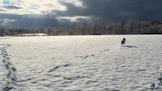 Our December